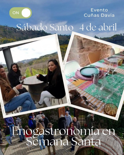 Catas, viñedos, y comida en el Ribeiro en la bodega Cuñas Davia