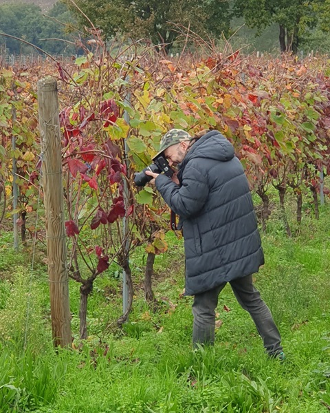 Fotógrafo en el viñedo durante una visita a una bodega en Galicia